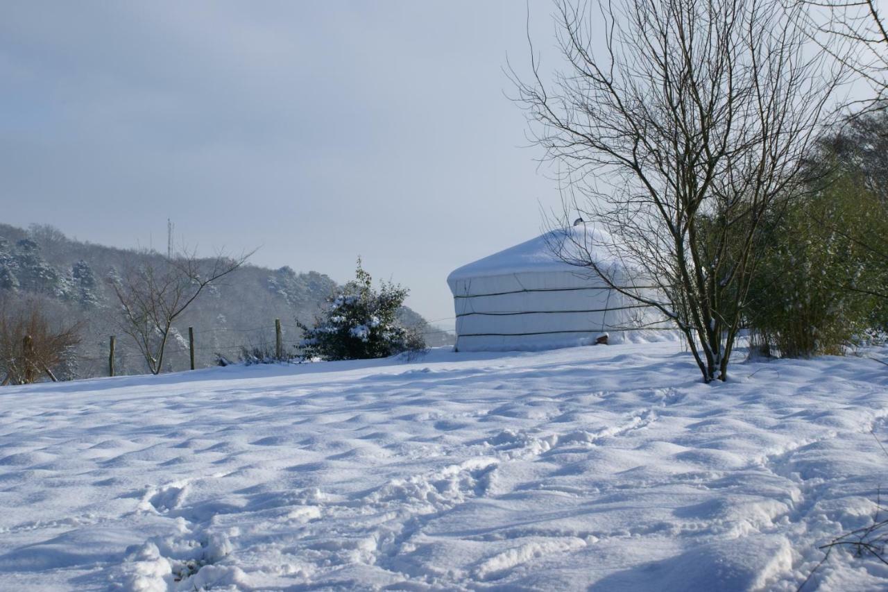 Le Refuge Du Clos Du Moulin Brionne Exteriör bild
