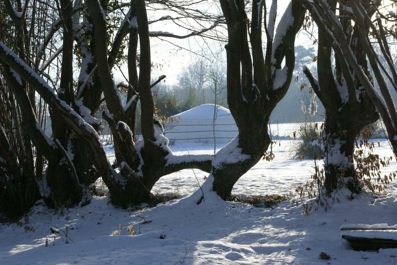 Le Refuge Du Clos Du Moulin Brionne Exteriör bild
